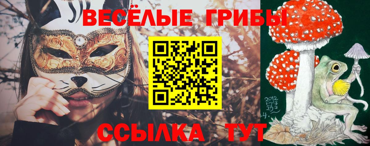 Галлюциногенные грибы MAGIC MUSHROOMS  Галлюциногенные грибы Psilocybine cubensis  Вход с VPN  Красноармейск 